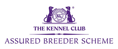 Kennel Club logo